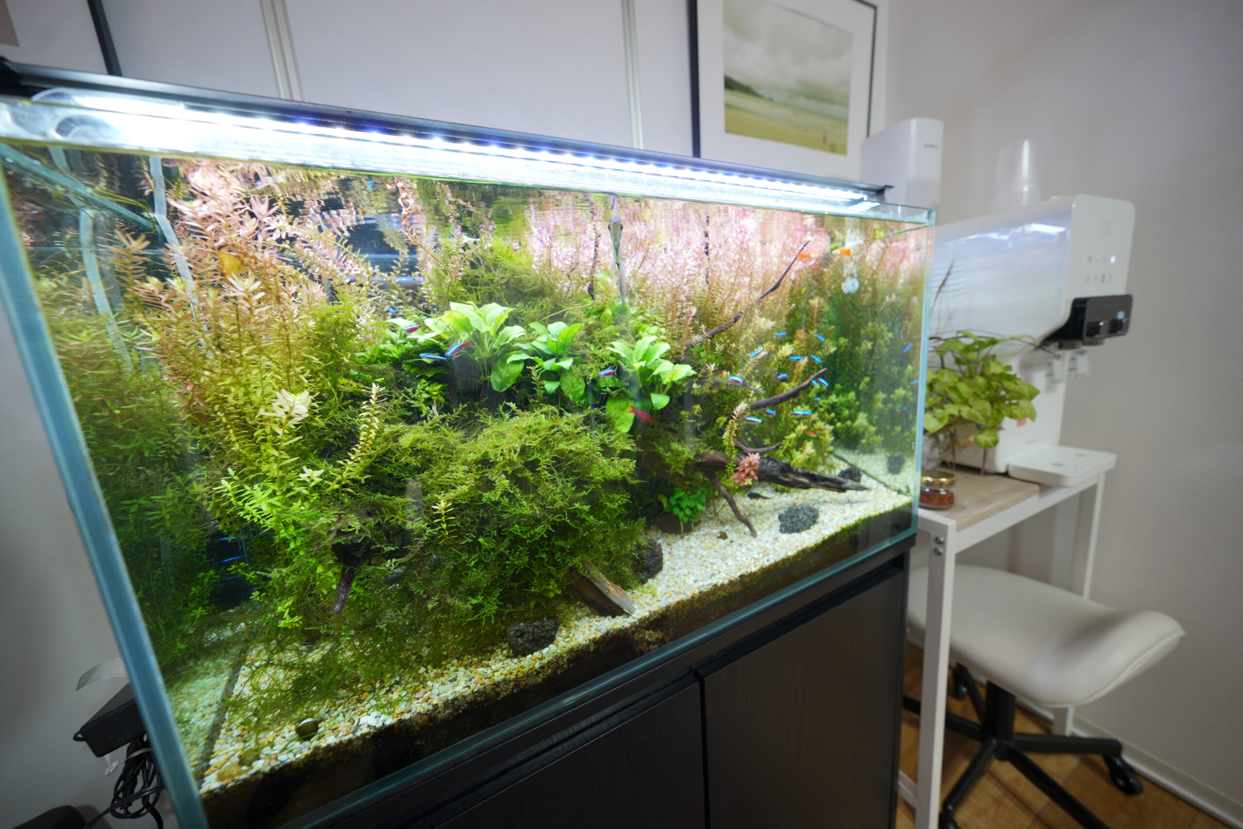 ほっと安らげる心地よい場所